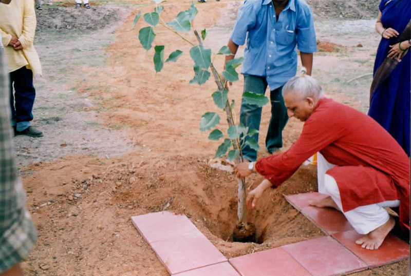Retracing the roots of the MyTree Initiative