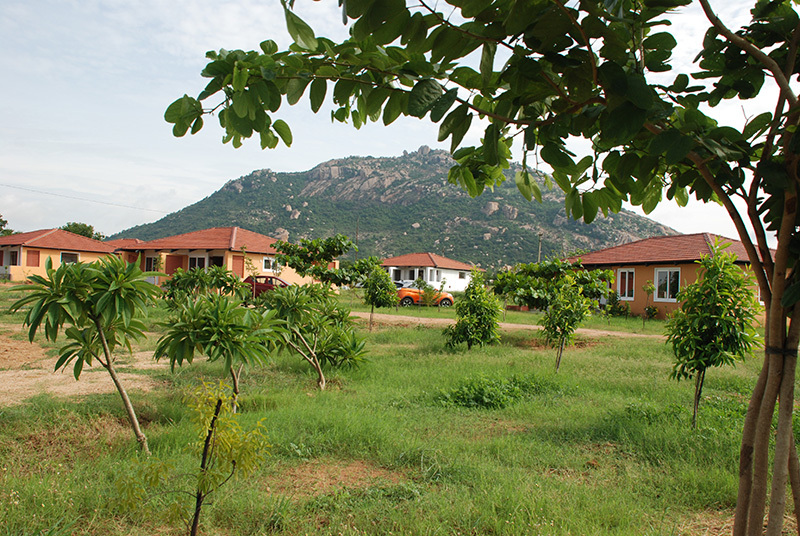 Announcing the Inauguration of The Sacred Grove at Chowdepalle