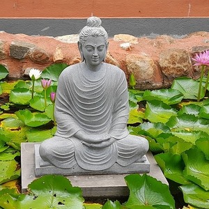Half Image