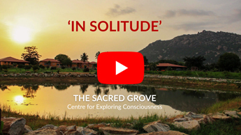 In Solitude at The Sacred Grove